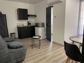 Studio Amélie-les-Bains-Palalda, 1 pièce, 2 personnes - FR-1-659-67